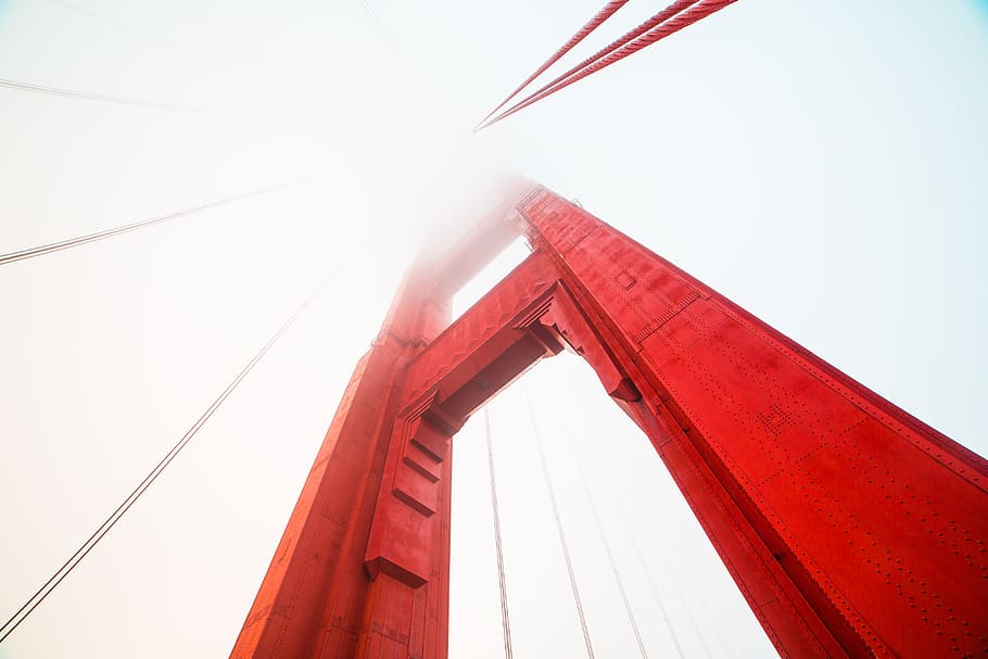 dorado, puente gate, pilar, puente golden gate, cubierto, niebla, arquitectura, puente, california, brumoso