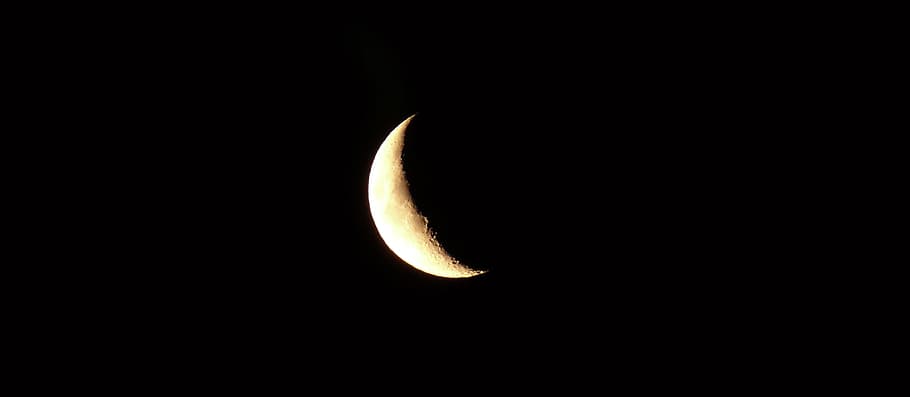 Moon, Satellite, september moon, moonlight, night, luna, full moon, celestial body, earth's moon, night photograph