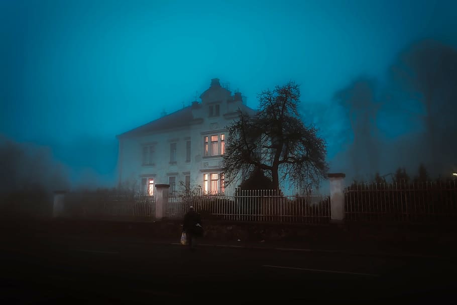 white, brown, house, covered, fo, tree, home, mansion, spooky, eerie