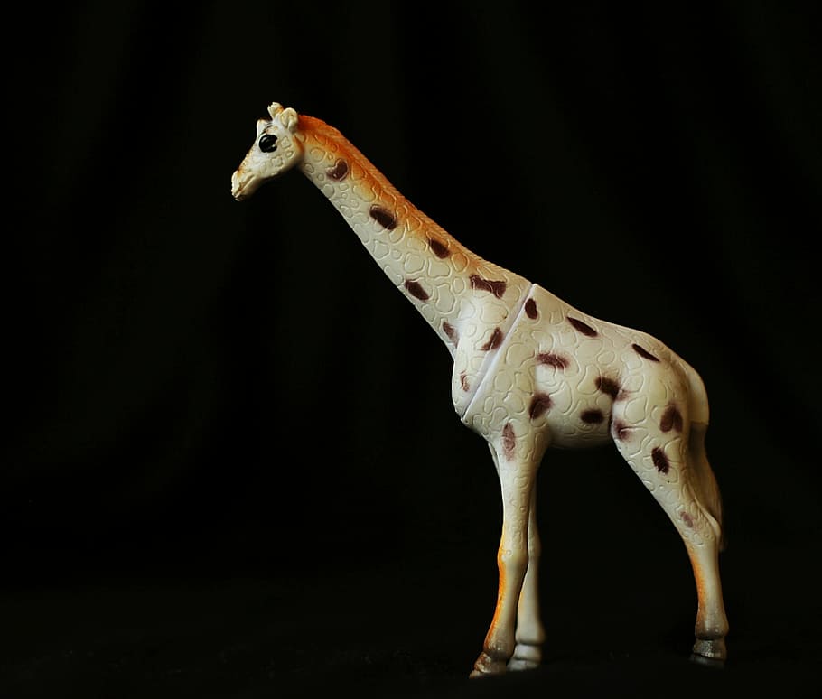 giraffe, trinket, toy, black, background, little, artifact, gift, cute, ornament