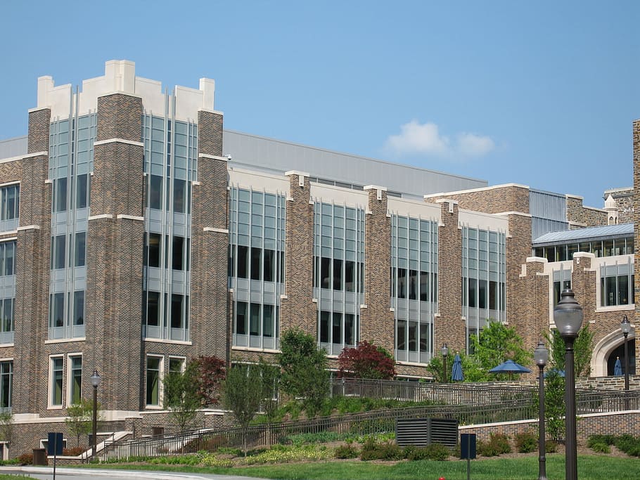 back, bostock library, north, carolina, Bostock, Library, Duke University, North Carolina, building, higher education