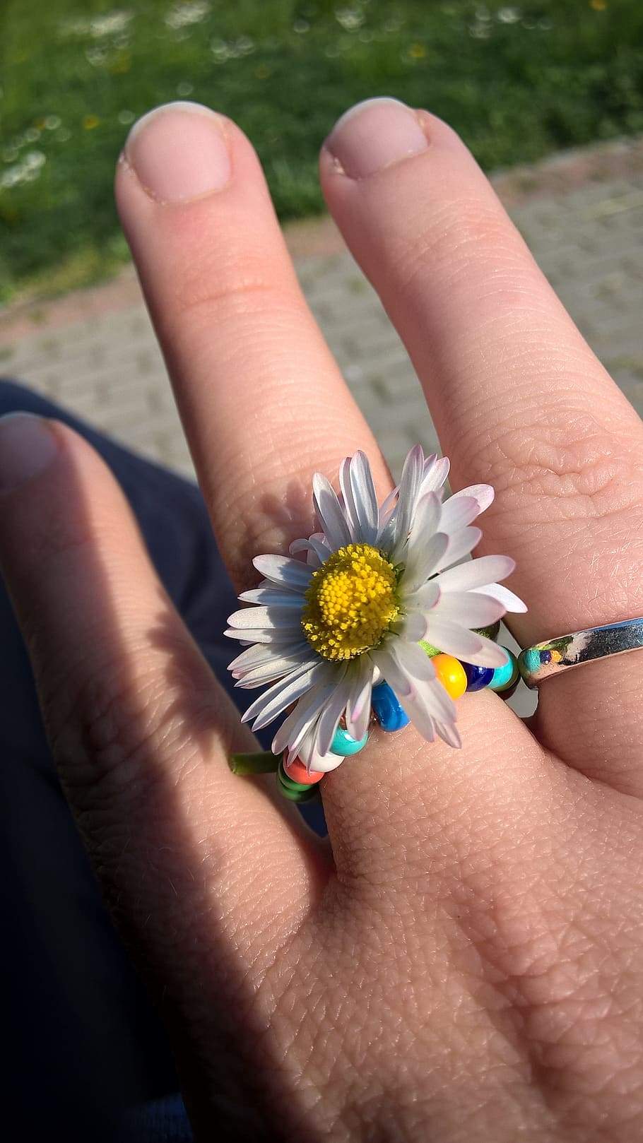 margaret, ring, spring, human body part, human hand, hand, flower, body part, flowering plant, real people