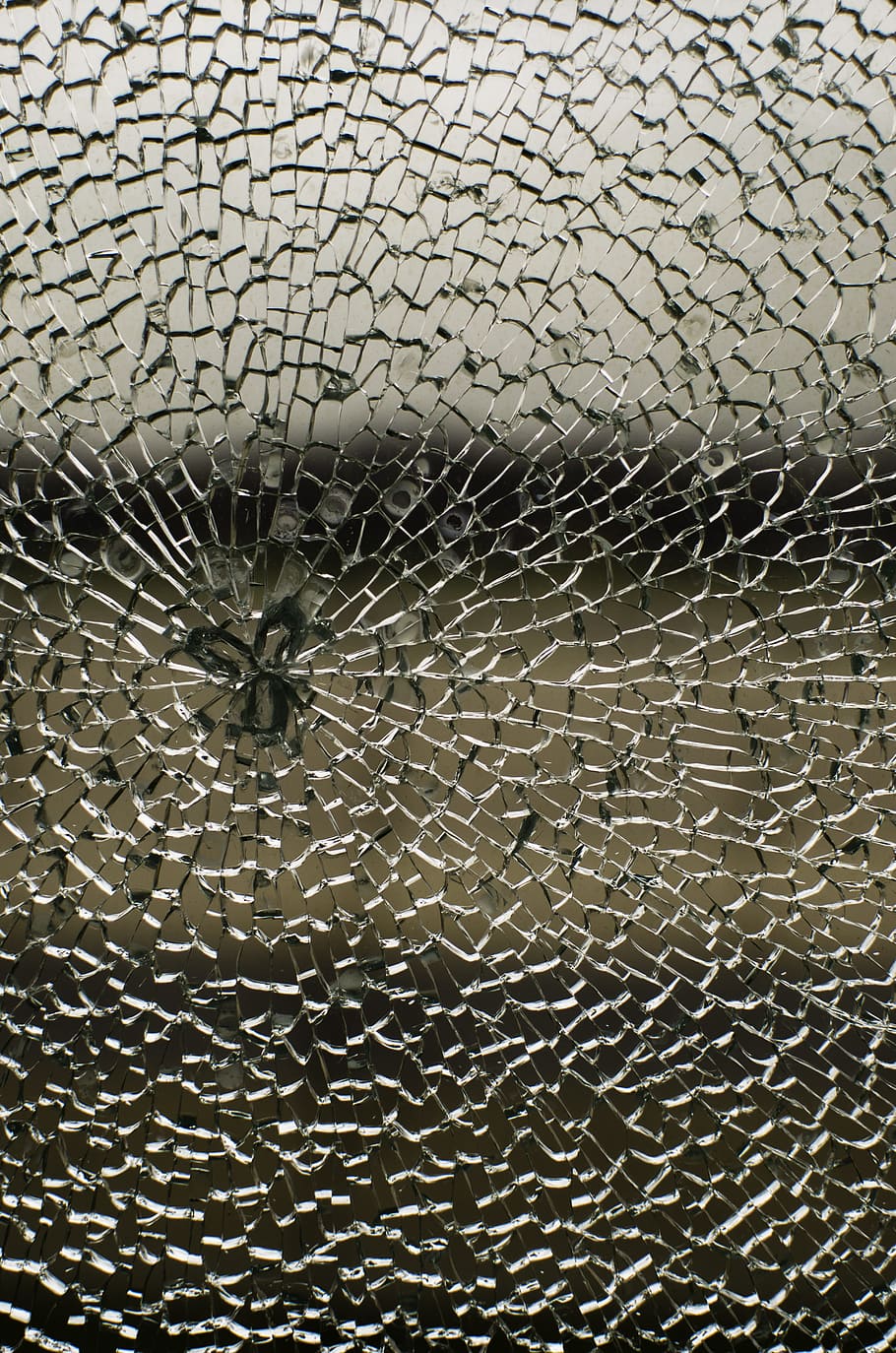 cracked glass, pane, bruise, the destruction of the, crack, the breakdown of the, pieces, pattern, invertebrate, full frame