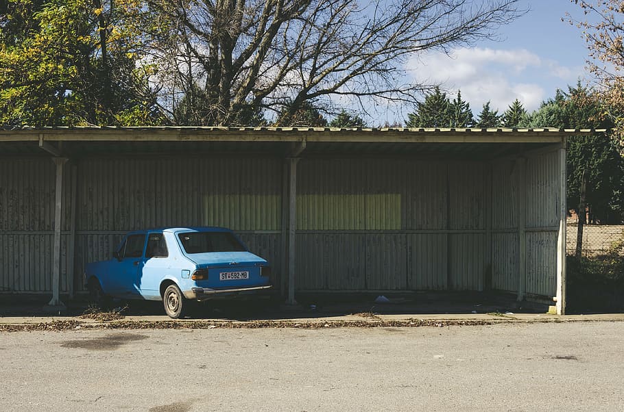 blue, sedan, parked, garage, vehicle, car, parking, shed, trees, plant