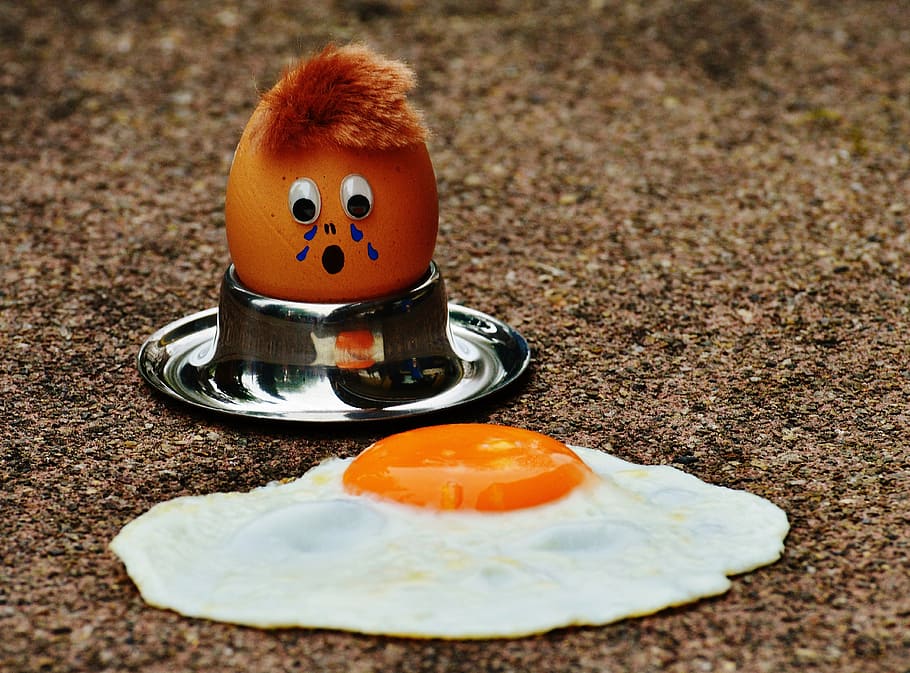 close-up photo, fried, egg, stainless, steel bowl, floor, mourning, fun, funny, cute