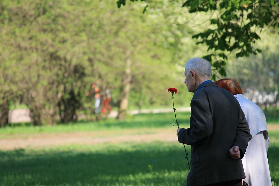hombre, tenencia, rojo, flor de pétalos, al lado, mujer, para caminar, durante el día, veteranos, memoria
