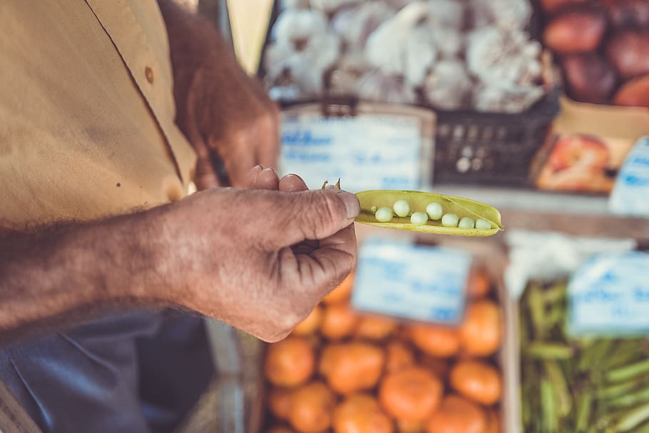 fruits, vegetables, food, market, grocery, seed, beans, hand, arm, blur