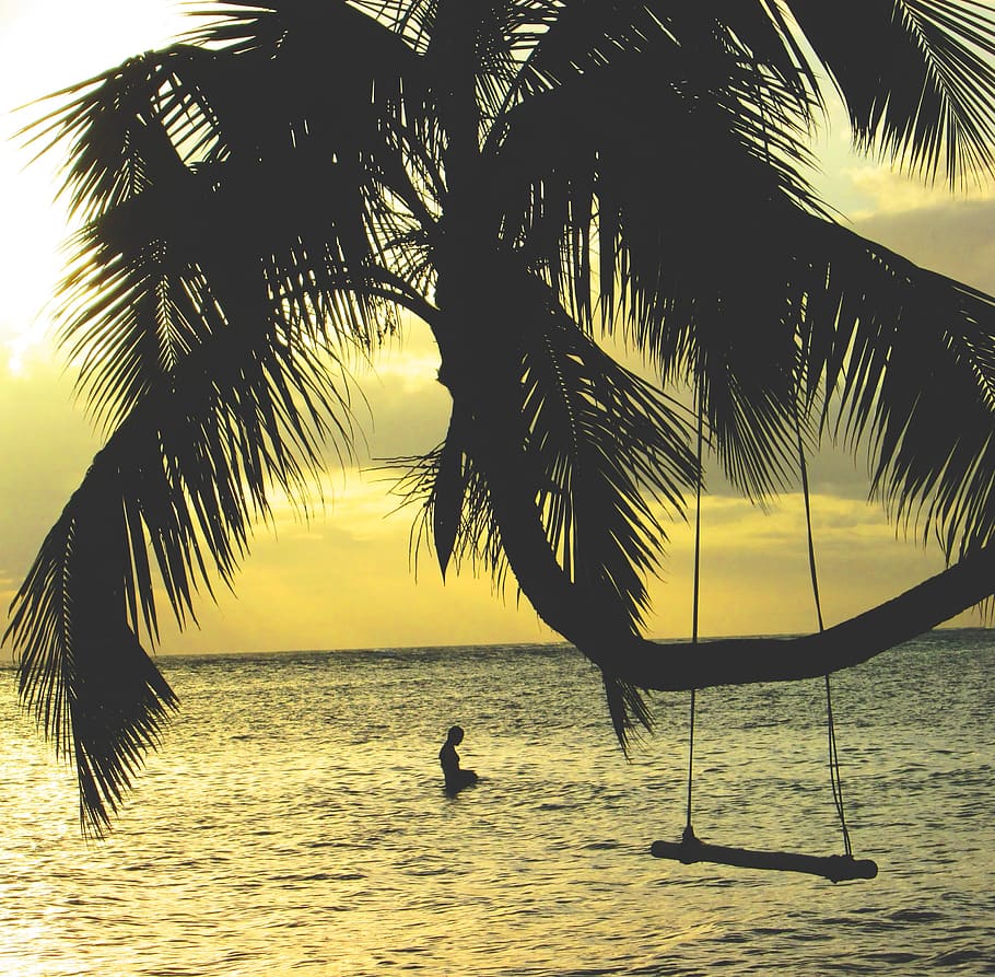 palmeiras, balanço, oceano, mar, água, praia, tropical, férias, natação, pôr do sol