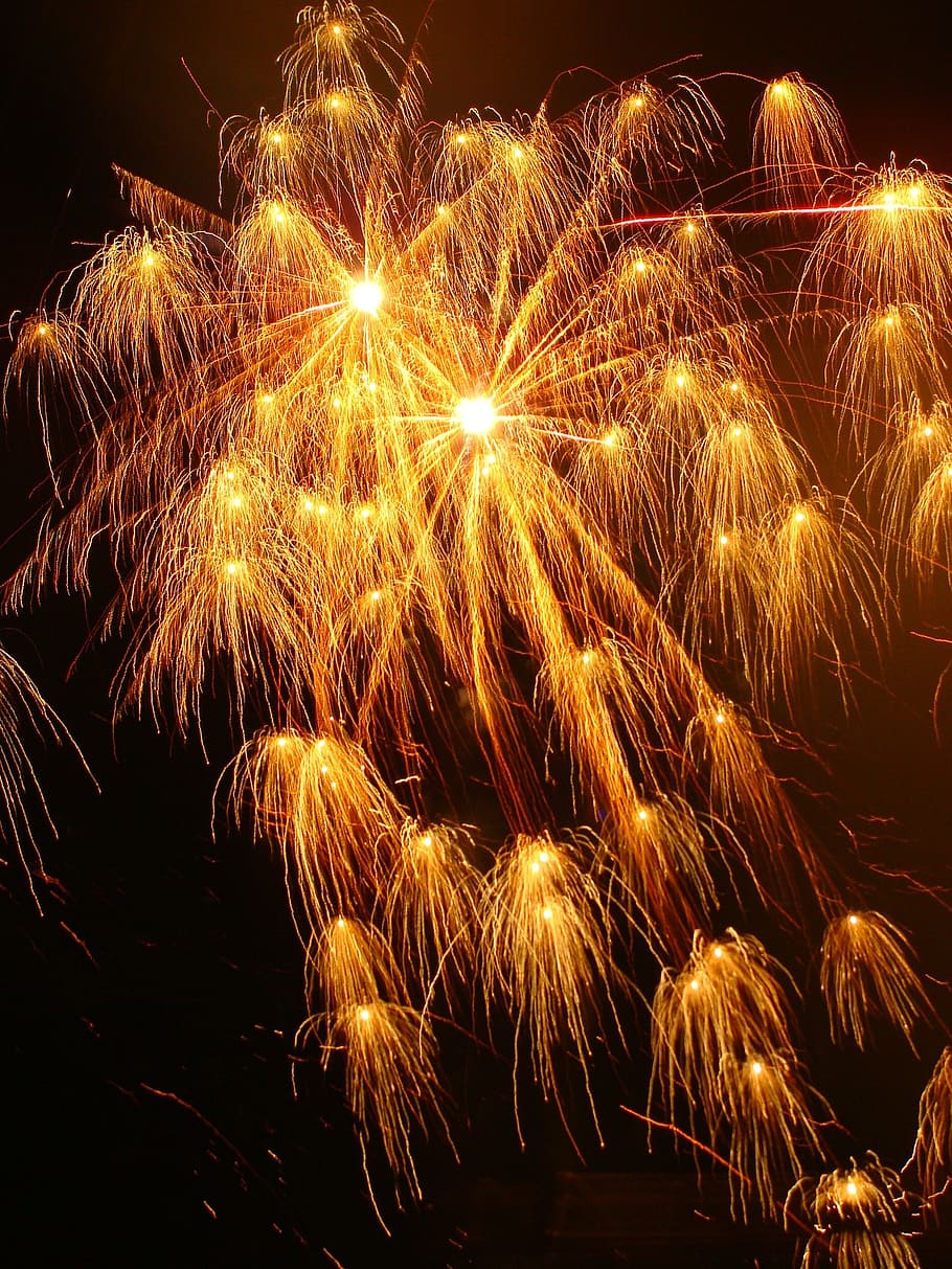 gunpowder, fire articiales, celebration, party, night, illuminated, motion, glowing, long exposure, firework