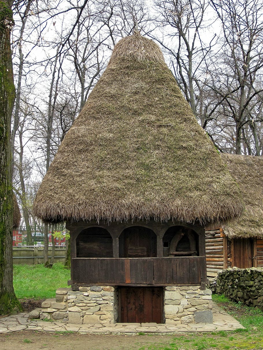 Casa velha, Antiga, Transilvânia, país, rural, tradicional, casa, de madeira, telhado, arquitetura