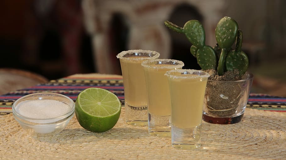 three, shot glasses, cactus plant, Cocktail, Mexico, Drinks, Alcohol, Ice, drink, bar