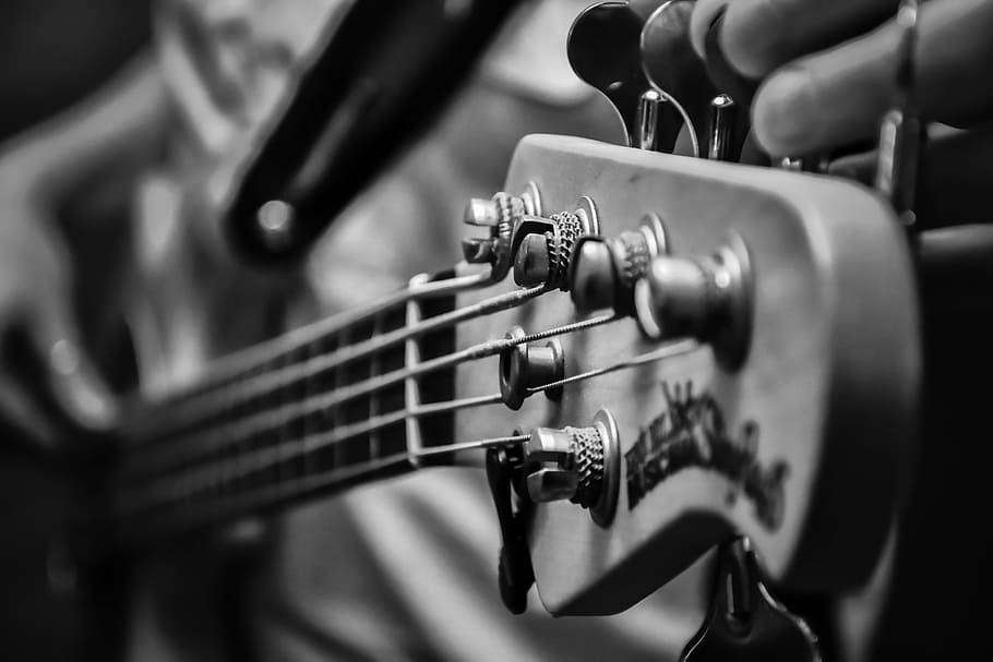fotografi abu-abu, headstock gitar, musik, rendah, bass listrik, string, kunci, batu, panggung, gitar bass