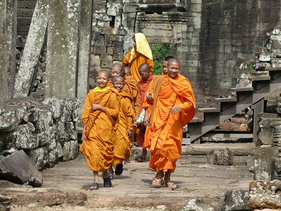 group, monks, walking, along, bricks, cambodia, angkor wat, temple, angkor, ruin