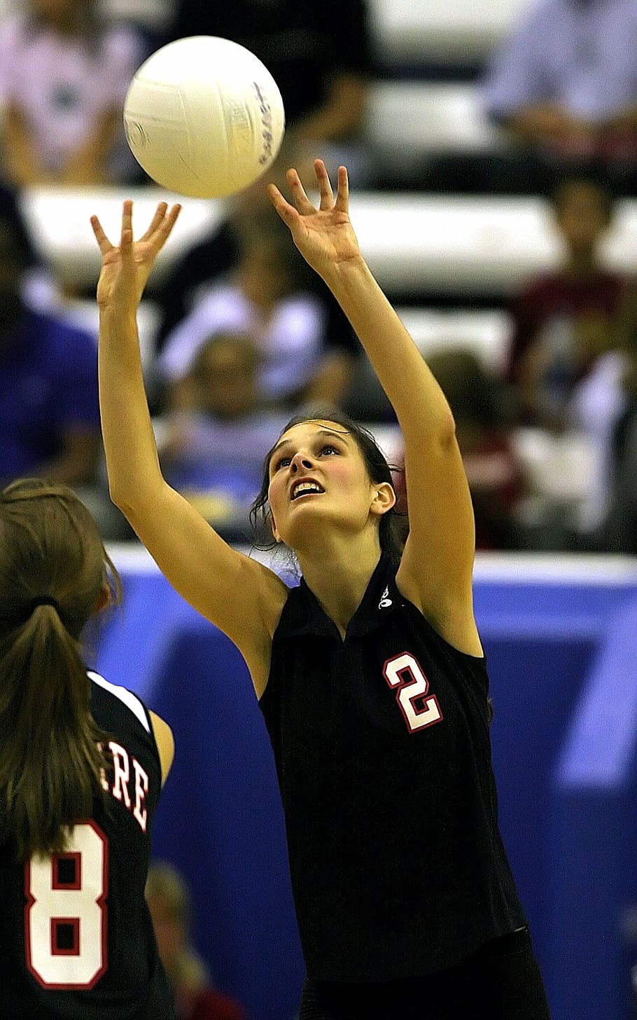 volleyball, teenager, girls volleyball, high school, court, player, game, volley, leisure, ball