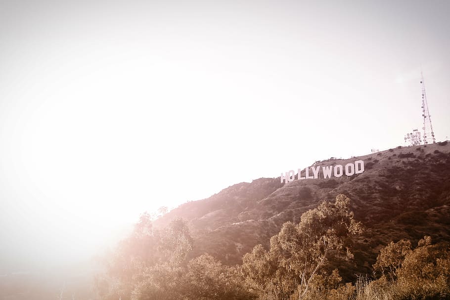 hollywood, gunung california, siang hari, tengara, hari, california, amerika serikat, tanda, pohon, bukit