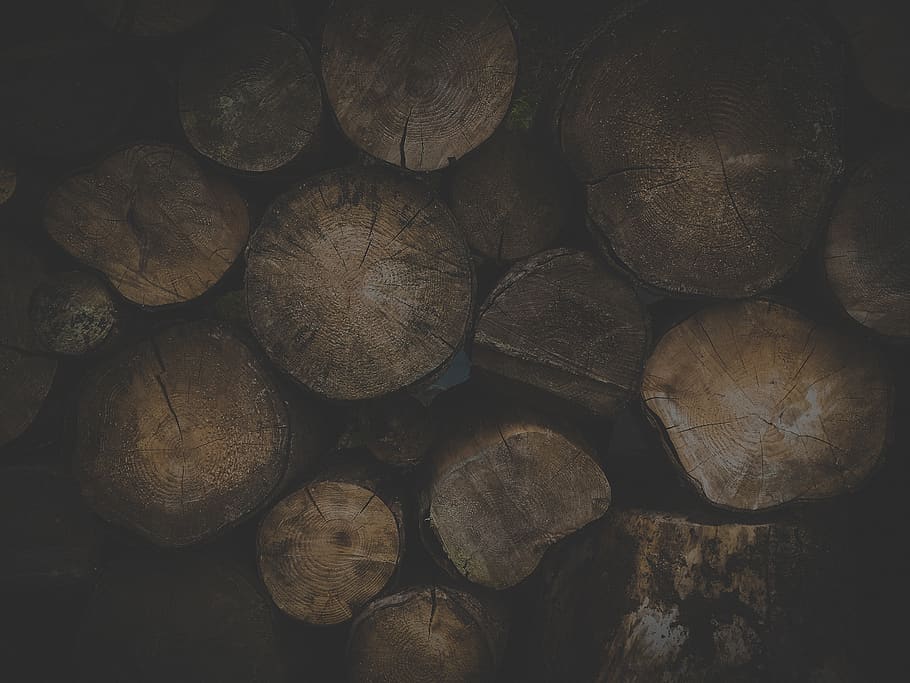nature, trees, wood, logs, pile, brown, timber, full frame, log, firewood