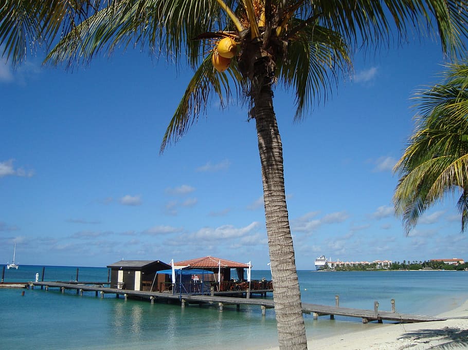 photo showing dock, Aruba, island, the island of aruba, oranjestad, beach, caribs, caribbean sea, caribbean islands, paradise