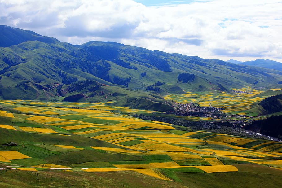 montaña y colinas, china, qinghai, el paisaje, agricultura, naturaleza, escena rural, granja, campo, montaña
