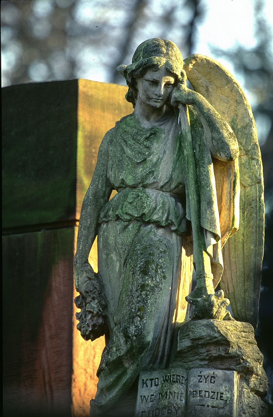 gris, hormigón, estatua, ángel, durante el día, escultura, día de todas las almas, varsovia, powązki, cementerio