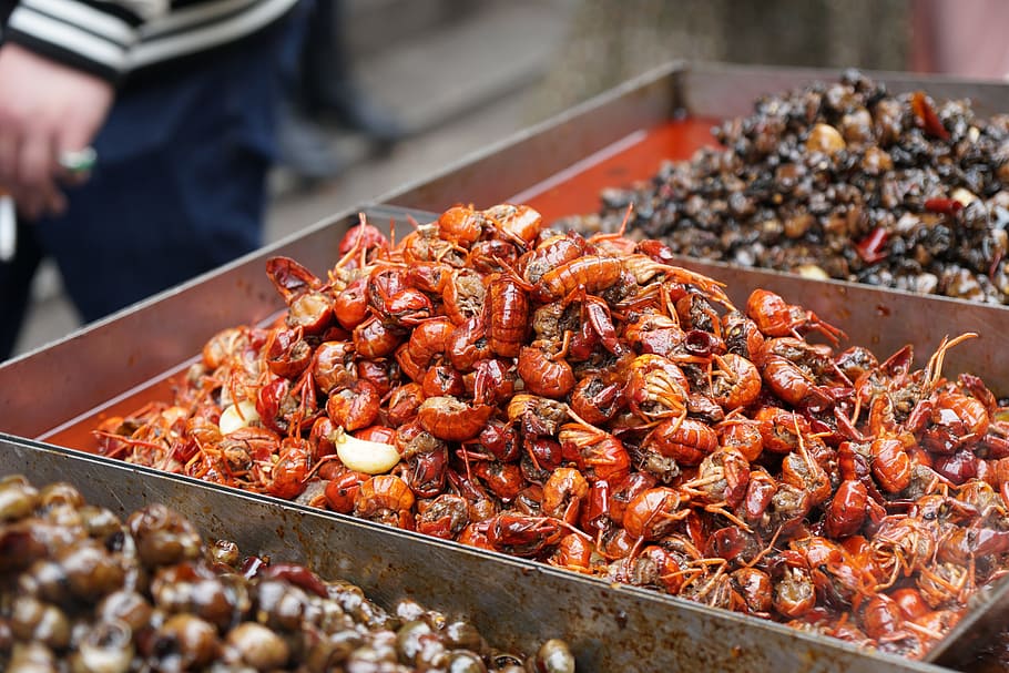 Wuhan, Gourmet, Crayfish, food and drink, freshness, market, seafood, food, retail, abundance