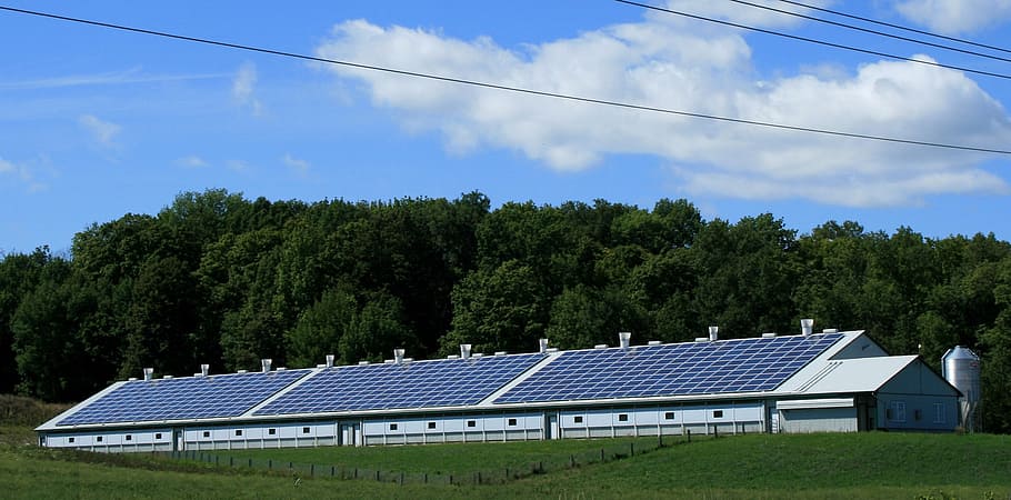 white, building, filled, solar, panels, surrounded, trees, solar power, sun, barn