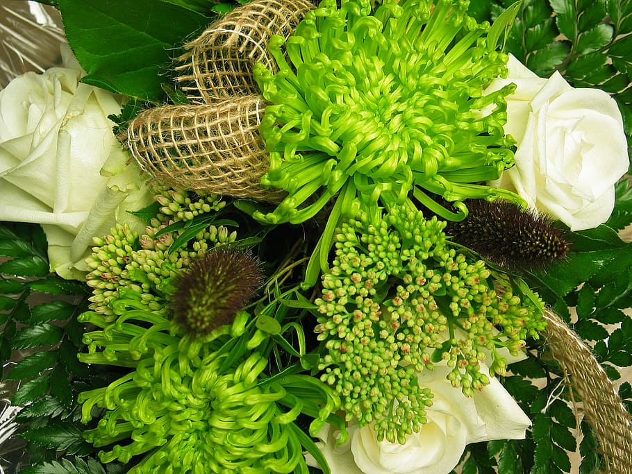 Bouquet, Chrysanthemum, Nature, Flowers, white, decorative, white green, contrasts, roses, white roses