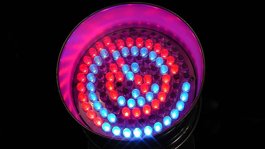 lighted led light, light emitting diodes, led, led light, spotlight, spot, rays, light, color, hell