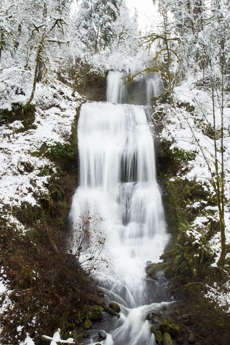 Royal, Terrace, Falls, snow, Oregon, waterfall between trees, waterfall, scenics - nature, beauty in nature, tree