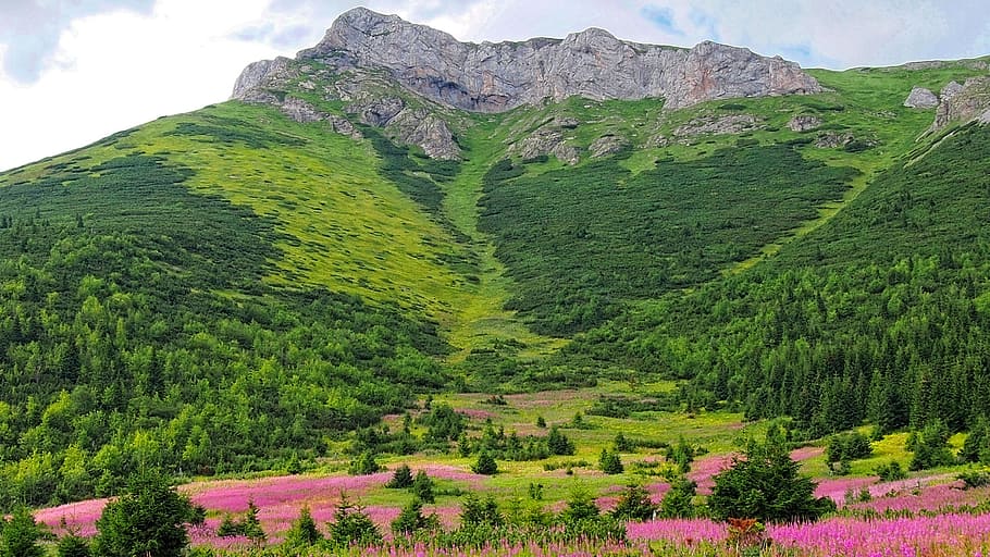montaña verde, tatry, los tatras eslovacos, eslovaquia, naturaleza, montañas, arriba, vista superior, rocas, paisaje