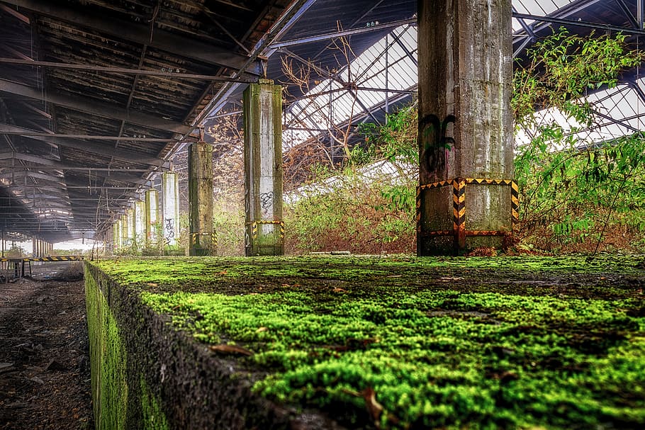 green, grass photography, post, lost places, railway station, platform, edge, moss, transience, train