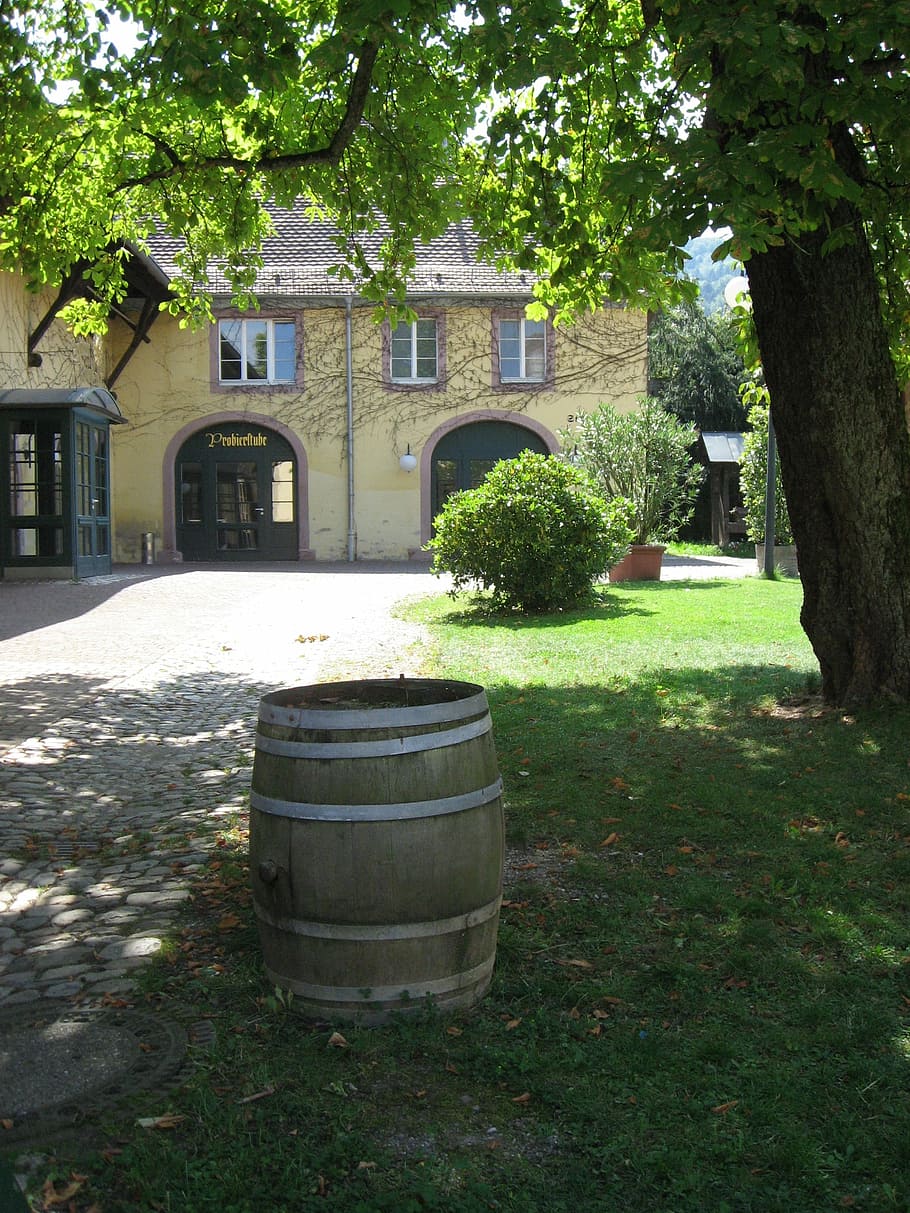 Winery, Barrel, Hof, weinhof, wine barrel, building, summer, day, outdoors, keg