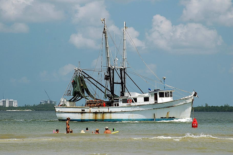 Shrimp Boat, Netter, Nets, commercial fishing, business industry, fishing, commercial, sea, fish, business