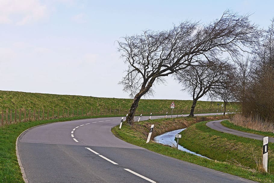 East Frisia, Dike, West Wind, street trees, askew, typical, curve, ditch, cycle path, permanent wind