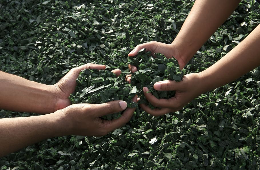 people, holding, green, leaves, hands, working together, teamwork, recycled rubber, human Hand, nature