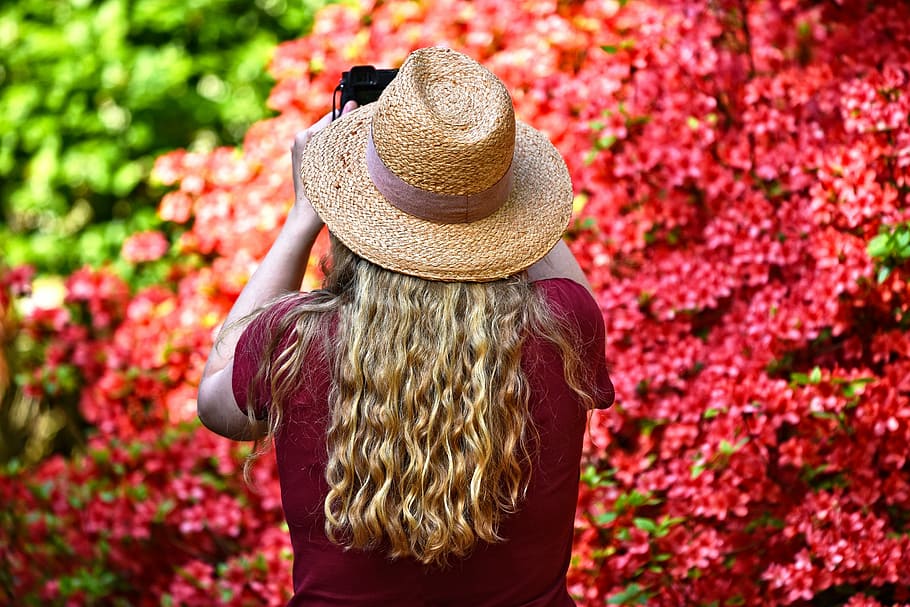 woman, wearing, red, top, brown, fedora hat, person, hair, long blonde hair, hat