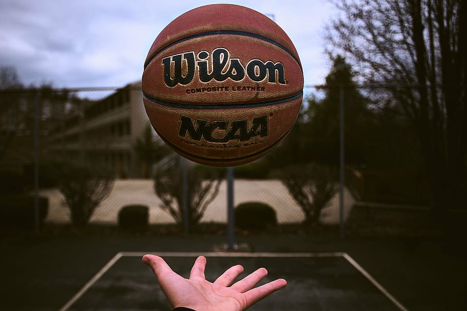person, playing, brown, wilson basketball, ball, basketball, sport, game, fitness, hand