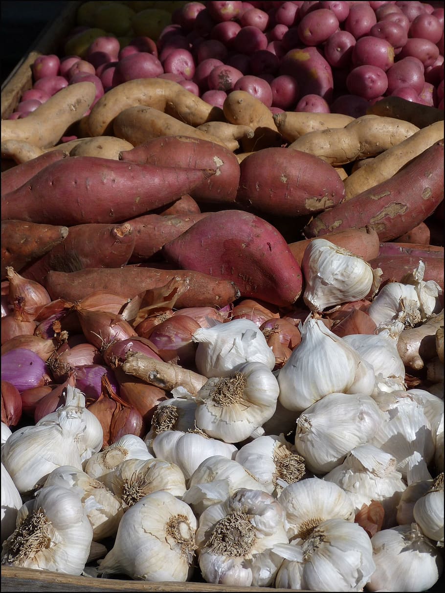 yam, garlic, potato, vegetable, food, healthy, dinner, nutrition, food and drink, freshness
