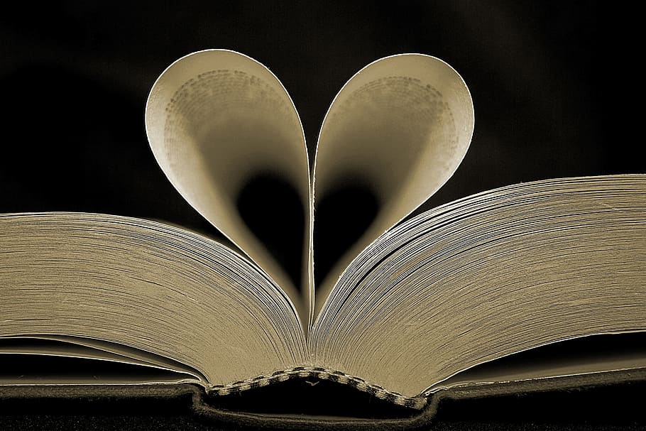 Livro, coração, amor, leitura, página, aberto, literatura, feriado - evento, diário, publicação