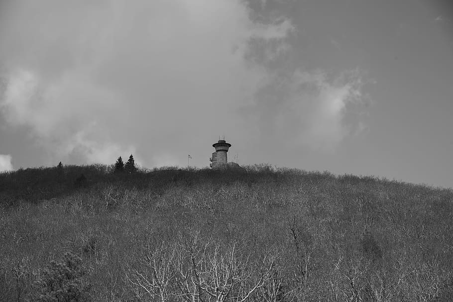 Brasstown Bald Georgia Monochrome Photo Brasstown Bald