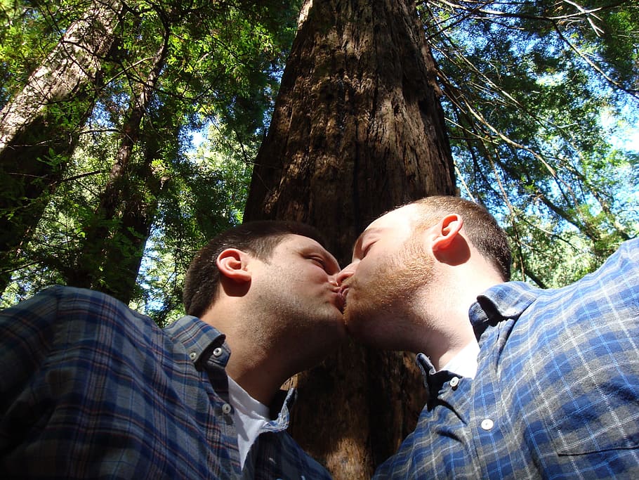 dos, hombre, besos, al lado, madera, tomado, durante el día, matrimonio homosexual, amor, beso
