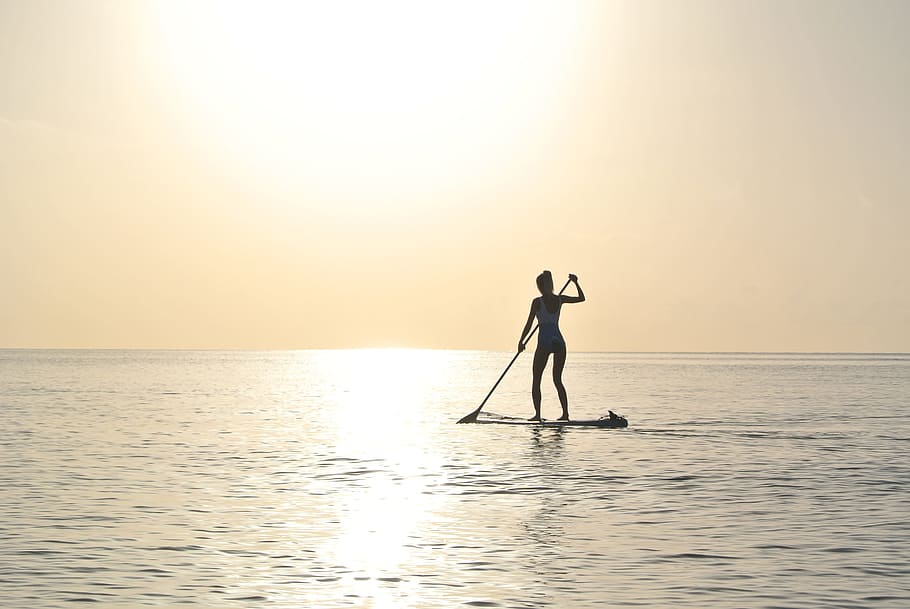 silhouette photo, woman paddling, top, paddleboard, middle, body, water, sunrise, ocean, silhouette