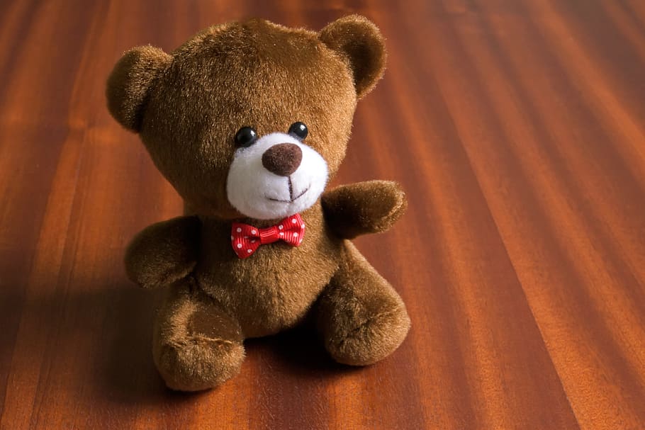 soft toy, children's toy, gift, souvenir, toy, bear, teddy-bear, toy bear, stuffed toy, teddy bear