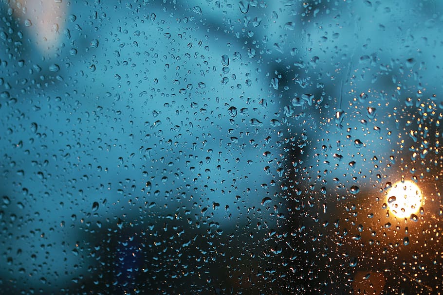 embun air, cerah, panel kaca, tetesan hujan, gelas, raja hujan, hujan, basah, turun, jendela