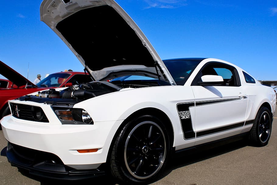 white, black, ford mustang gt coupe, opened, hood, car, auto, ford, mustang, open
