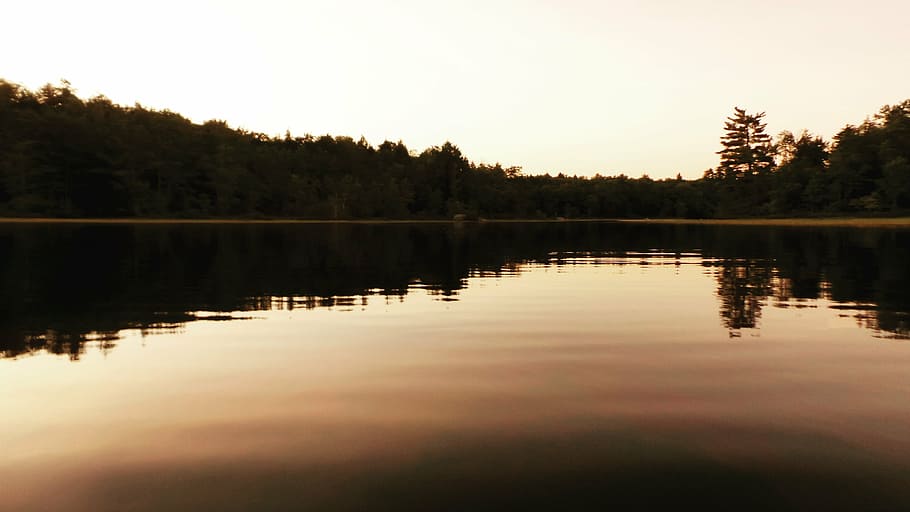 calm, lake, surrounding, trees, near, mountain, daytime, water, reflection, nature