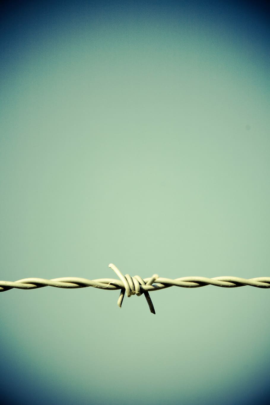 gray barbwire, barbed wire, fence, border, metal, wire, thorn, verrostst, risk, imprisoned
