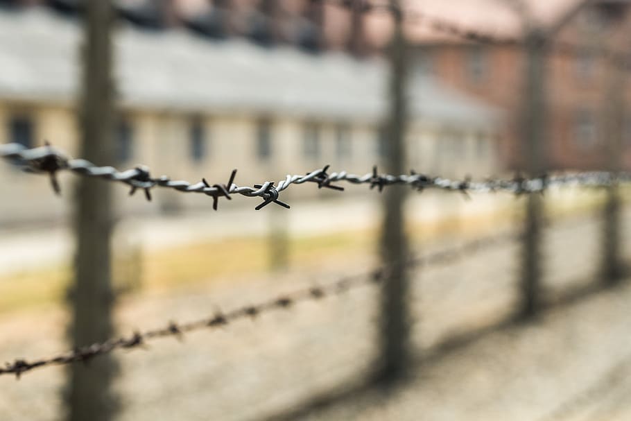 auschwitz, concentration camp, birkenau, electric fence, fence, prison, the museum, museum, death, the war