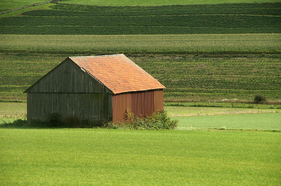 barn, grass, farm, field, agriculture, green, arable, fields, food, spring