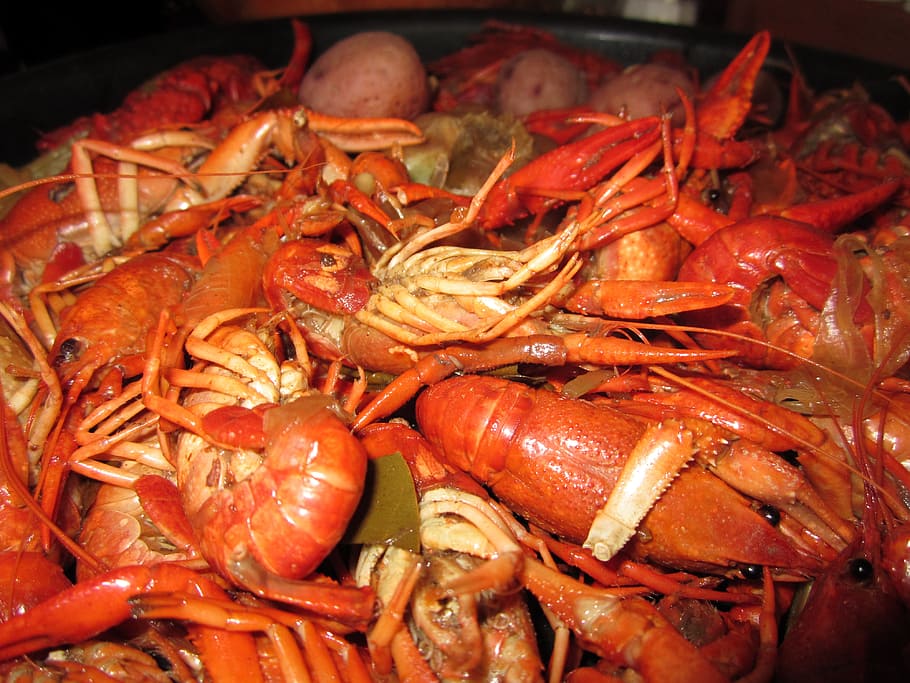 cooked shrimps, crawfish, food, boiled, new orleans, crayfish, seafood, shellfish, fresh, crustacean