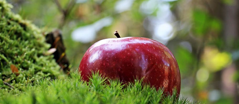 사과, 녹색, 잎, 빨간 사과, 빨간 우두머리, 빨간, 과일, 가려워하는, 비타민, 자연